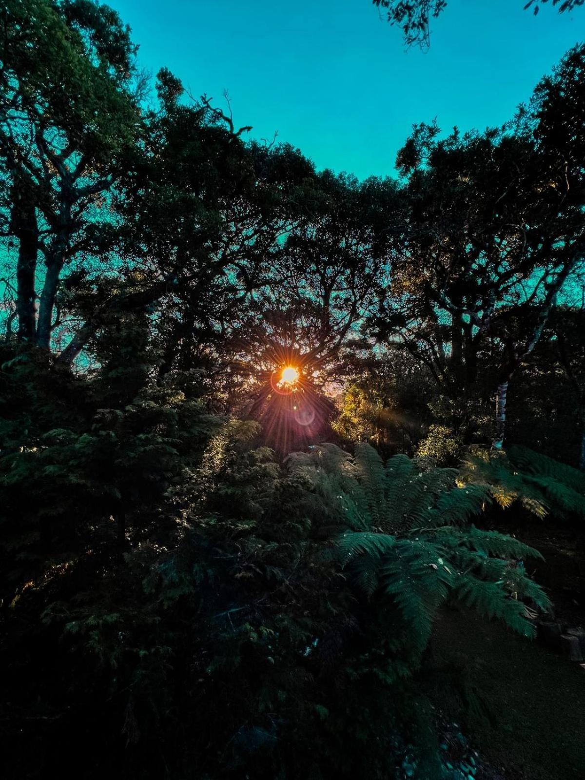 Canto Da Floresta Monte Verde  Quarto foto